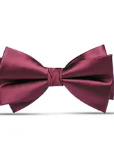 酒紅色の蝶ネクタイ【ウェディング・フォーマル用・男性用・二重構造】（セットアップ対応）