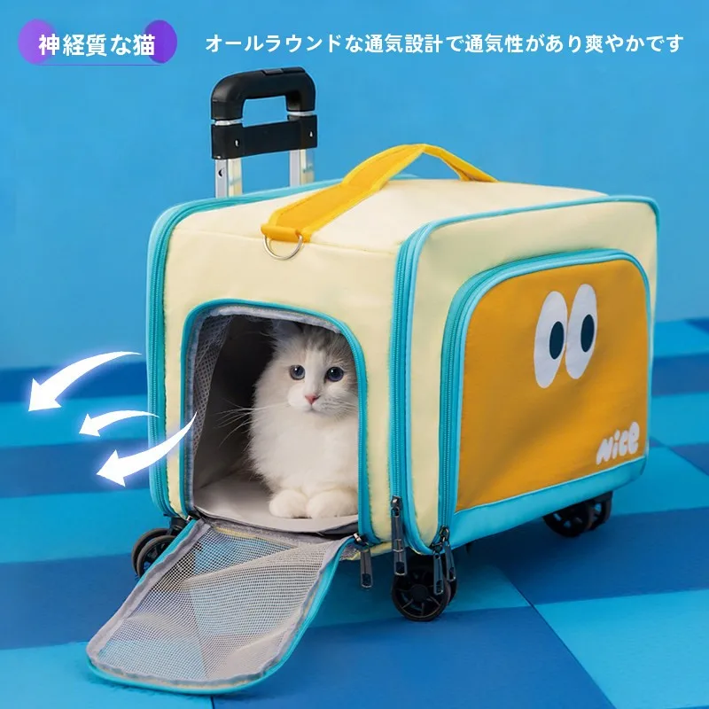 荷物を運ぶキャリーの選び方とは？厳選3選で暮らしの負担を軽くする実践ノウハウ