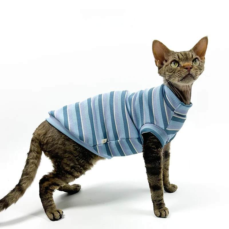 猫tシャツ ブランド おすすめ3選：2026年注目するデザインと実用性のバランスを解説