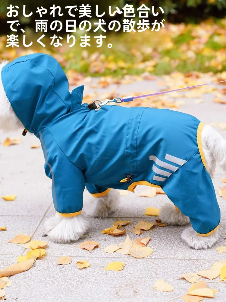 犬のお散歩グッズをコスパ良く揃える方法 - 全身防水レインコートの選定基準