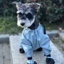犬用防滑防汚防水シューズ【小型犬向け・通年使用可能・アウトドア用】