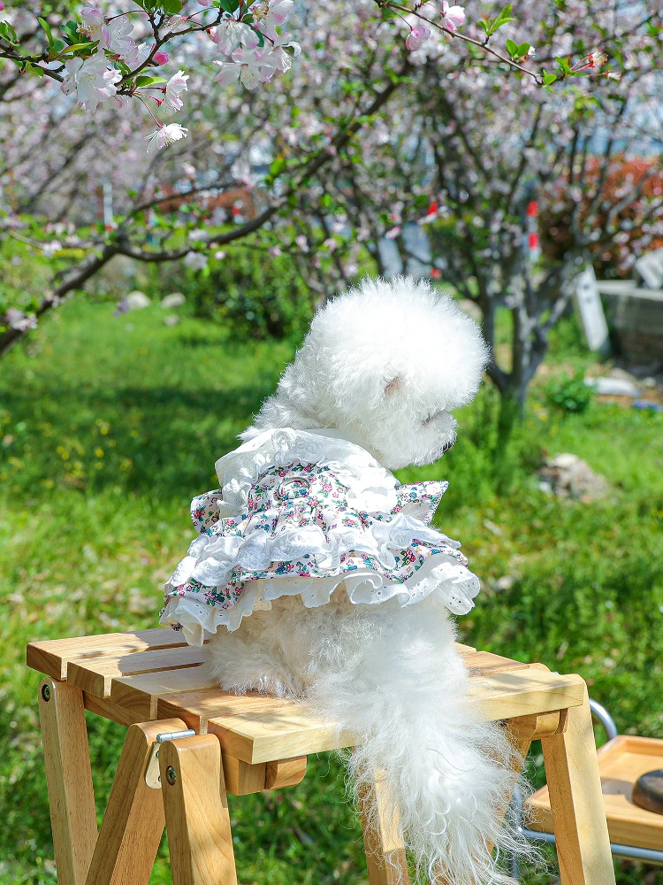犬用ドレス【パーティー・可愛い公主デザイン・小型犬用】：小型犬向けの通気性とデザインバランスを実現