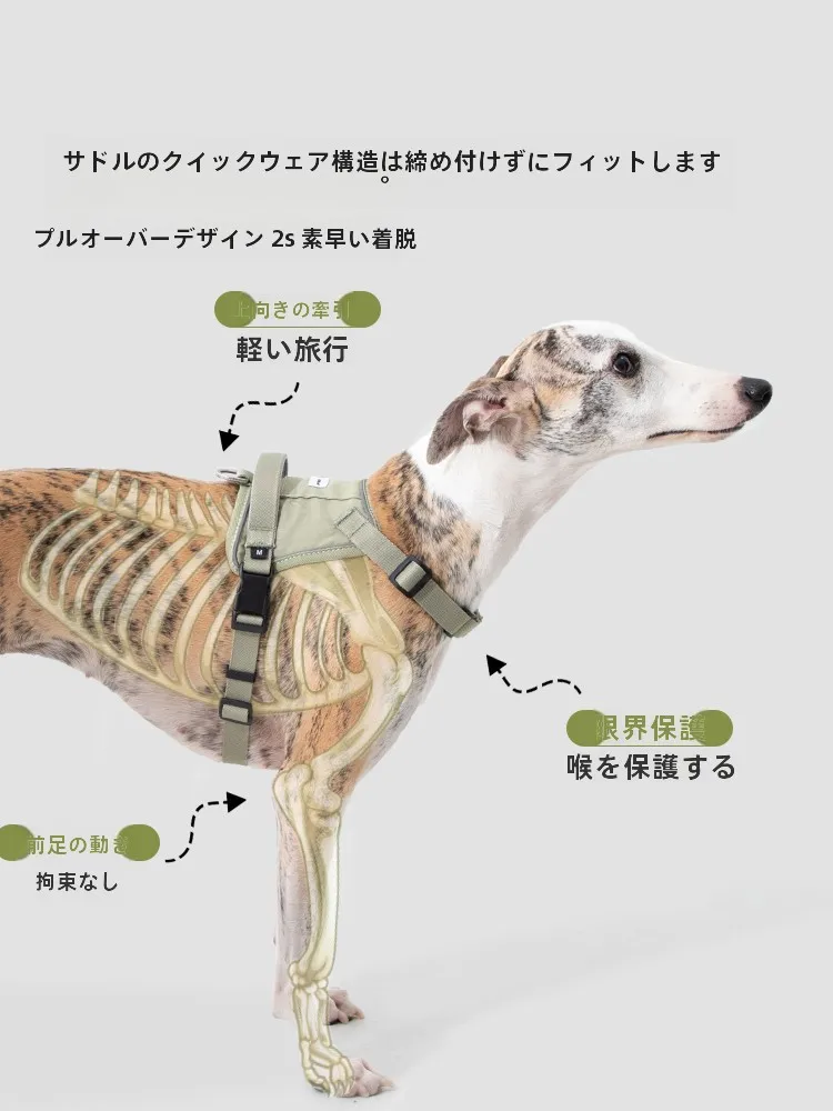 犬のお散歩グッズをコスパ良く揃える方法｜通気性と防爆機能が評価される胸ハーネスの選び方