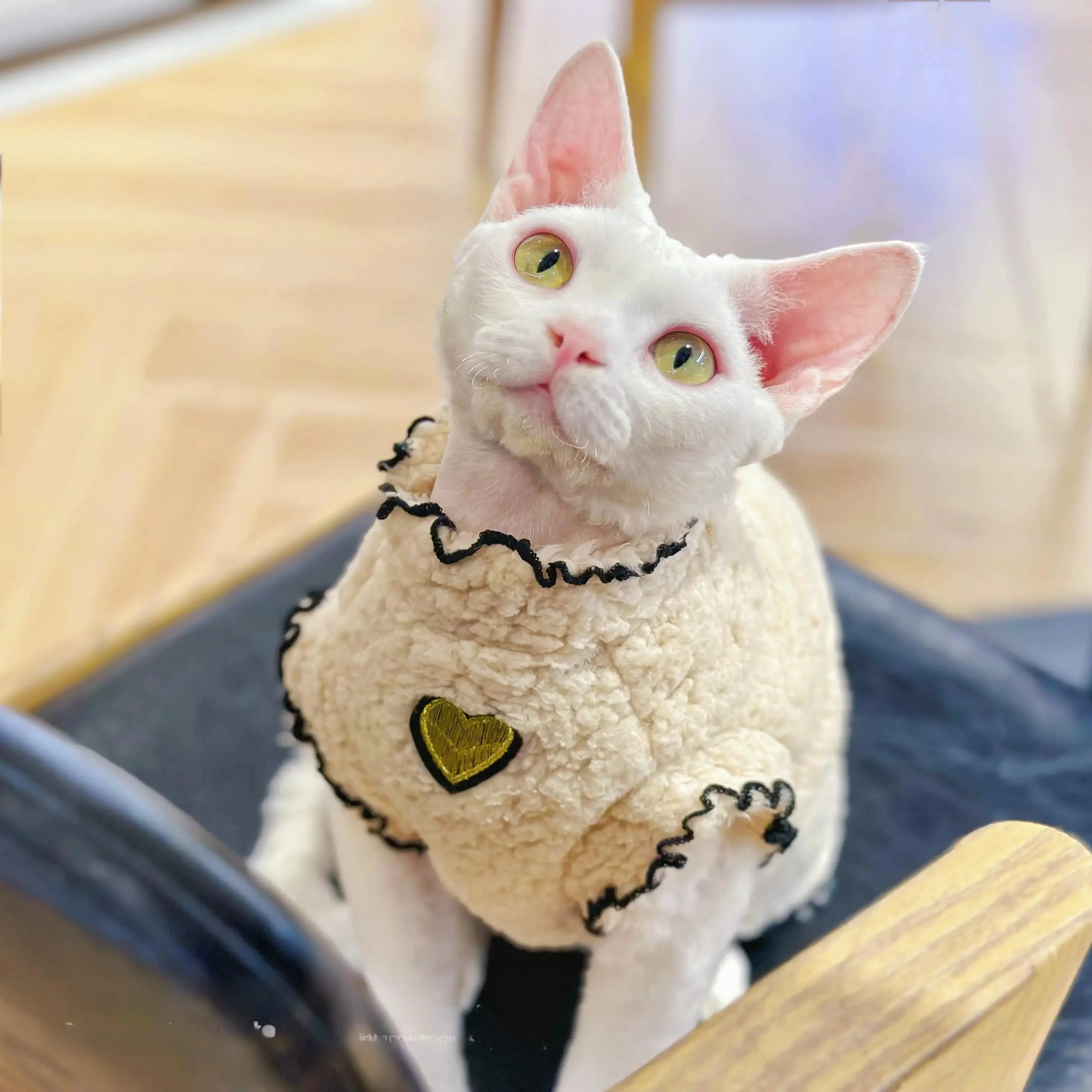 白いダニとは何か？スフィンクス猫用冬用ウェアの実際の特徴と使用シーン