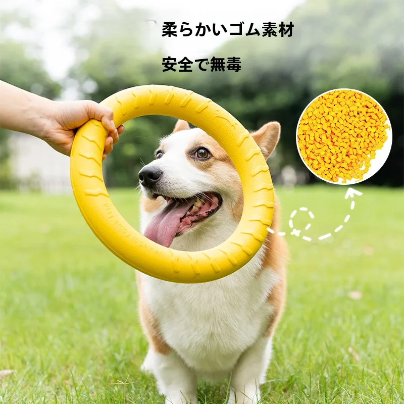 犬首輪とは何か？その本質と、私たちの暮らしにどう関わるのか