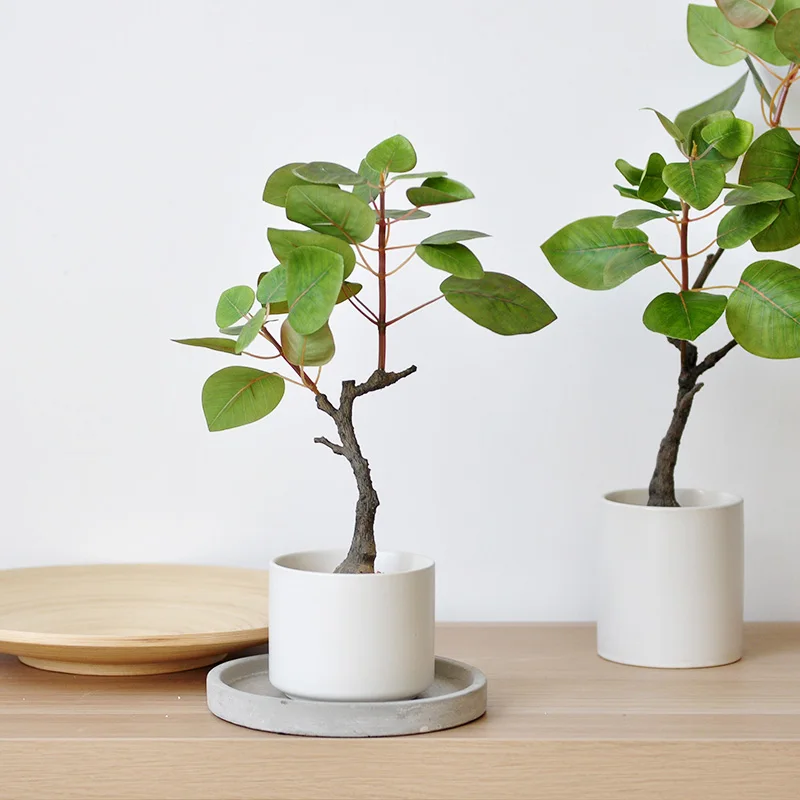 一人暮らし新生活をだけで揃えたら総額いくら？北欧風フェイク植物で心のバランスを整える完全ガイド