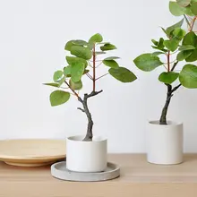 北欧風デスクトップ用フェイク植物【シンプルデザイン・観葉植物・インテリア装飾】