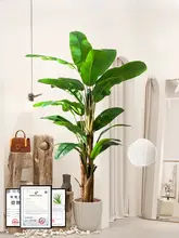 高級感溢れる造花バナナリーフツリー【インテリア装飾用・落地タイプ・エコ素材】