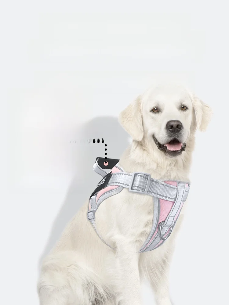 犬のお散歩グッズをコスパ良く揃える方法｜衝撃吸収機能付きハーネスリードの選び方完全ガイド
