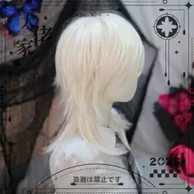 男性用ショートウィッグ【韓国風・仮装用・ふんわり全頭タイプ】