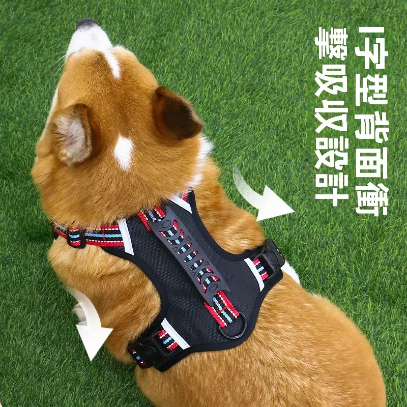 犬のお散歩グッズをコスパ良く揃える方法｜防爆ハーネス付きリードの実用性徹底解説