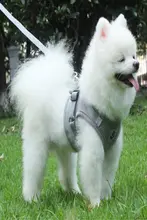 光るデザインの小型犬用ハーネス【トイプードル対応・散歩用・猫兼用】