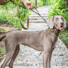 反射素材の犬用リード【小中大型犬用・散歩用】