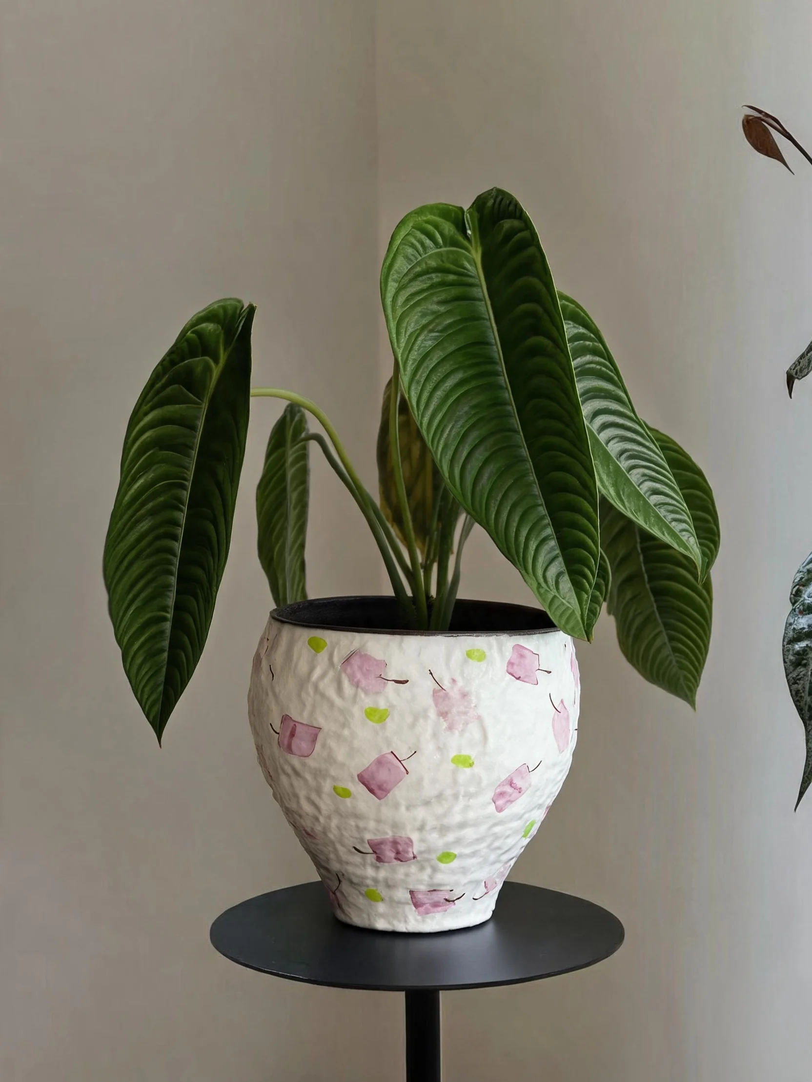 景德镇製陶器 蝶蘭の花鉢：ワンルームで活用できる中式復古デザインの観葉植物用花器