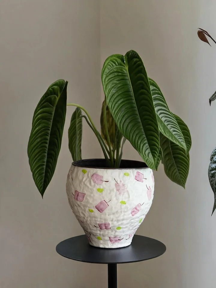 景德镇製陶器 蝶蘭の花鉢【中華風・室内用・観葉植物・復古デザイン】