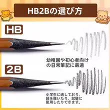 黒木製 HB鉛筆【安全無毒・小学生用・練習筆記用】