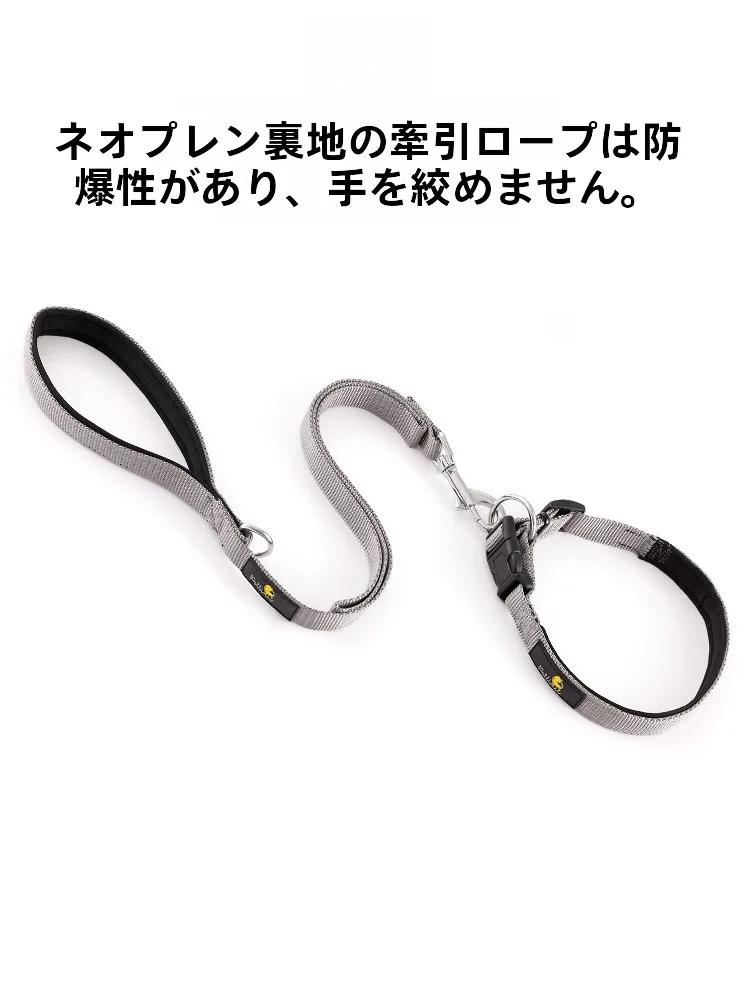 犬のお散歩グッズをコスパ良く揃える方法 - 首輪幅・ロ ープ長さ・対応体重の基準
