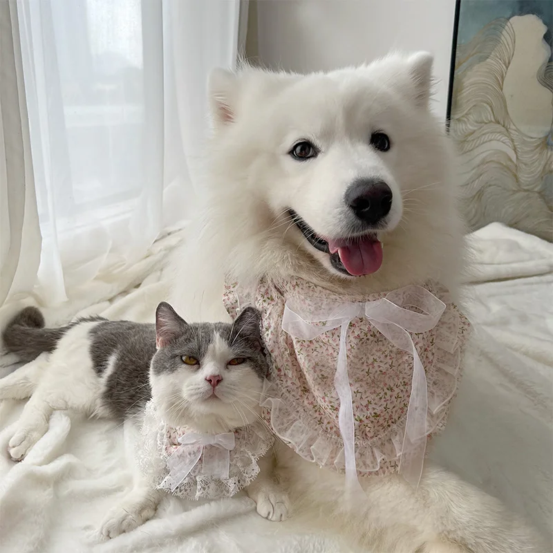モコモコ犬の首周りケアに最適なペット用スカーフとは？
