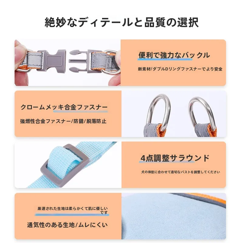 犬のお散歩グッズをコスパ良く揃える方法　完全ガイド