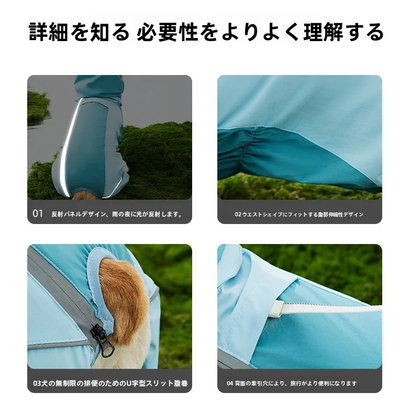 犬のお散歩グッズをコスパ良く揃える方法 - 防水フルカバー雨具のサイズ・色・メンテナンス