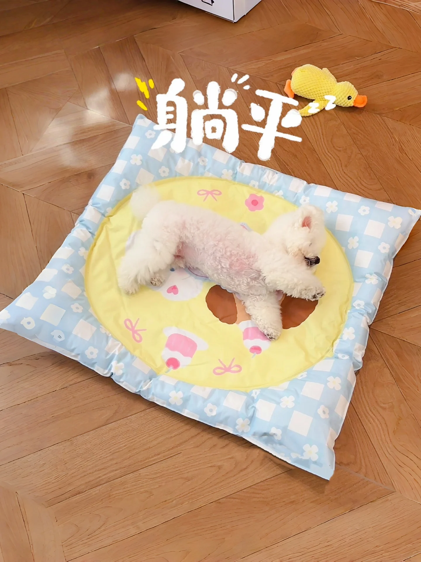 夏に涼しい犬ベッドの選び方：ペット用アイスパッドの実用性と性能解析