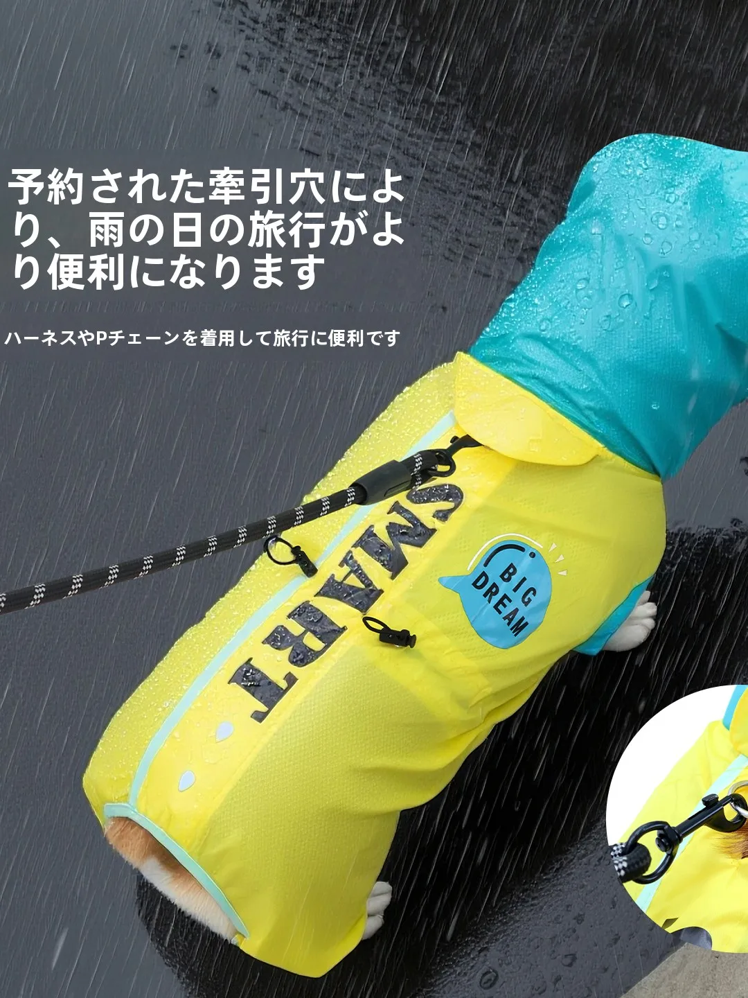 犬と一緒にアウトレットに行くとき、雨の日はこうやって防ぐ？