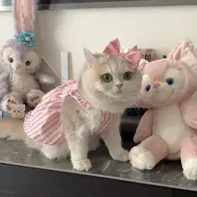 猫用 夏用 プリンセススタイル 薄手ドレス【毛が抜けにくい・ブルー・ホワイト・金色グラデーション・紫】