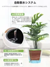自吸水機能付き大容量プランター【二重層・樹脂製・花の水やり不要】