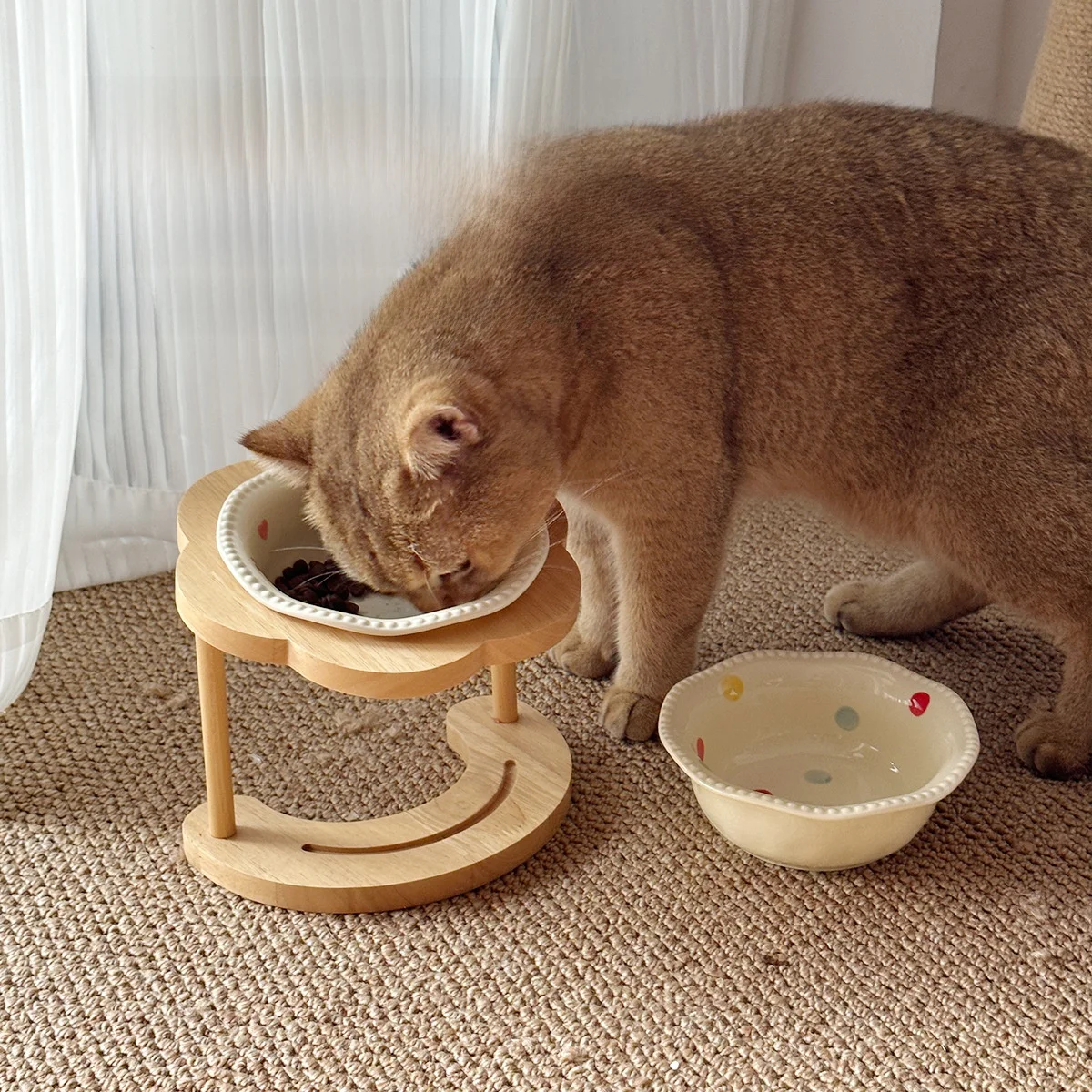 猫飼いが買ってよかったもの・悪かったもの正直に言う - 陶器製高脚食器の首保護効果と健康への影響