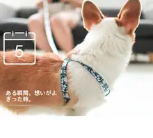 犬用ハーネス付きリード【胸式・大中小型犬用・外出用】
