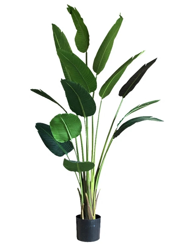 インテリア買い物リストに加えるべき植物の選び方・完全ガイド