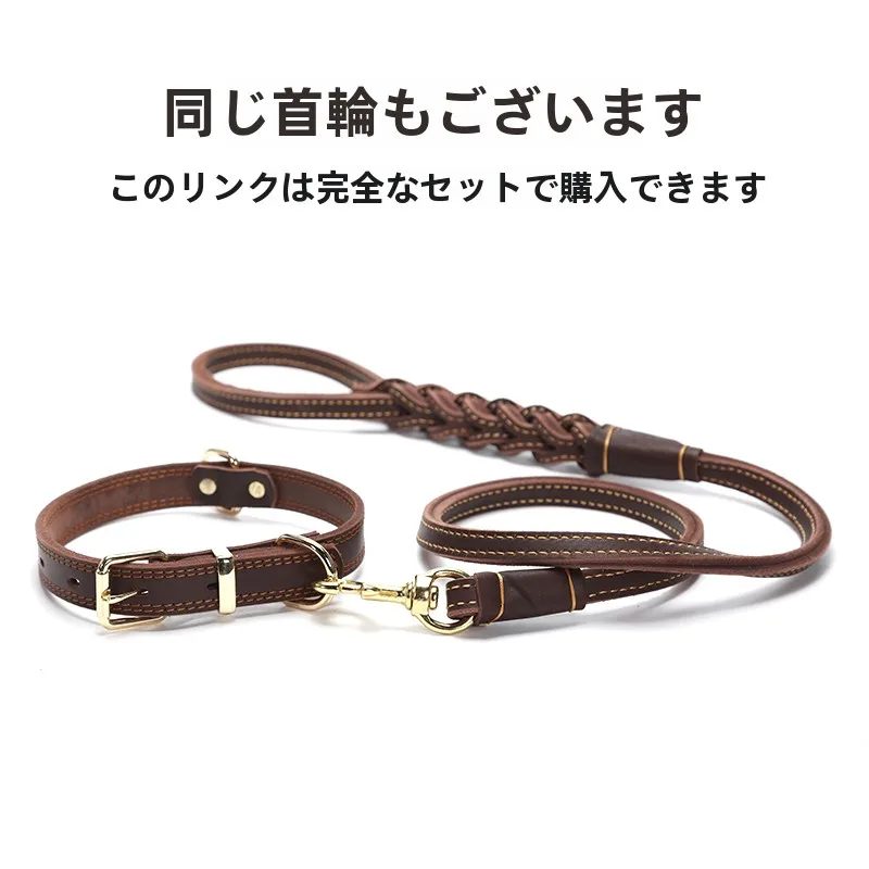 犬のお散歩グッズをコスパ良く揃える方法　リード選びの実測ガイド
