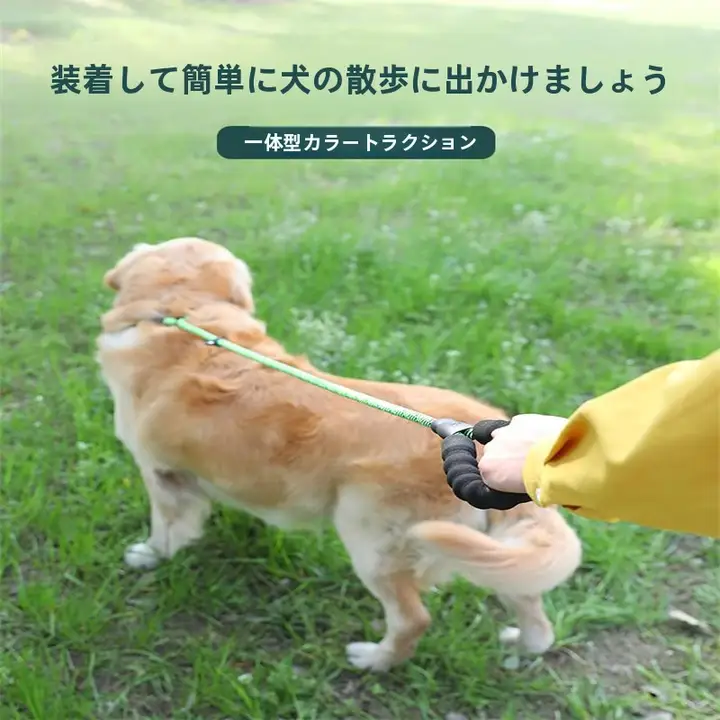 犬用リード【防爆設計・大中小型犬対応・脱走防止・金髪犬用カラー付き】