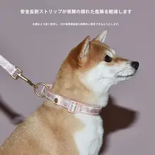 ペット用 中型・大型犬用ハーネス付きリード【胸部固定・移動用・軽量】