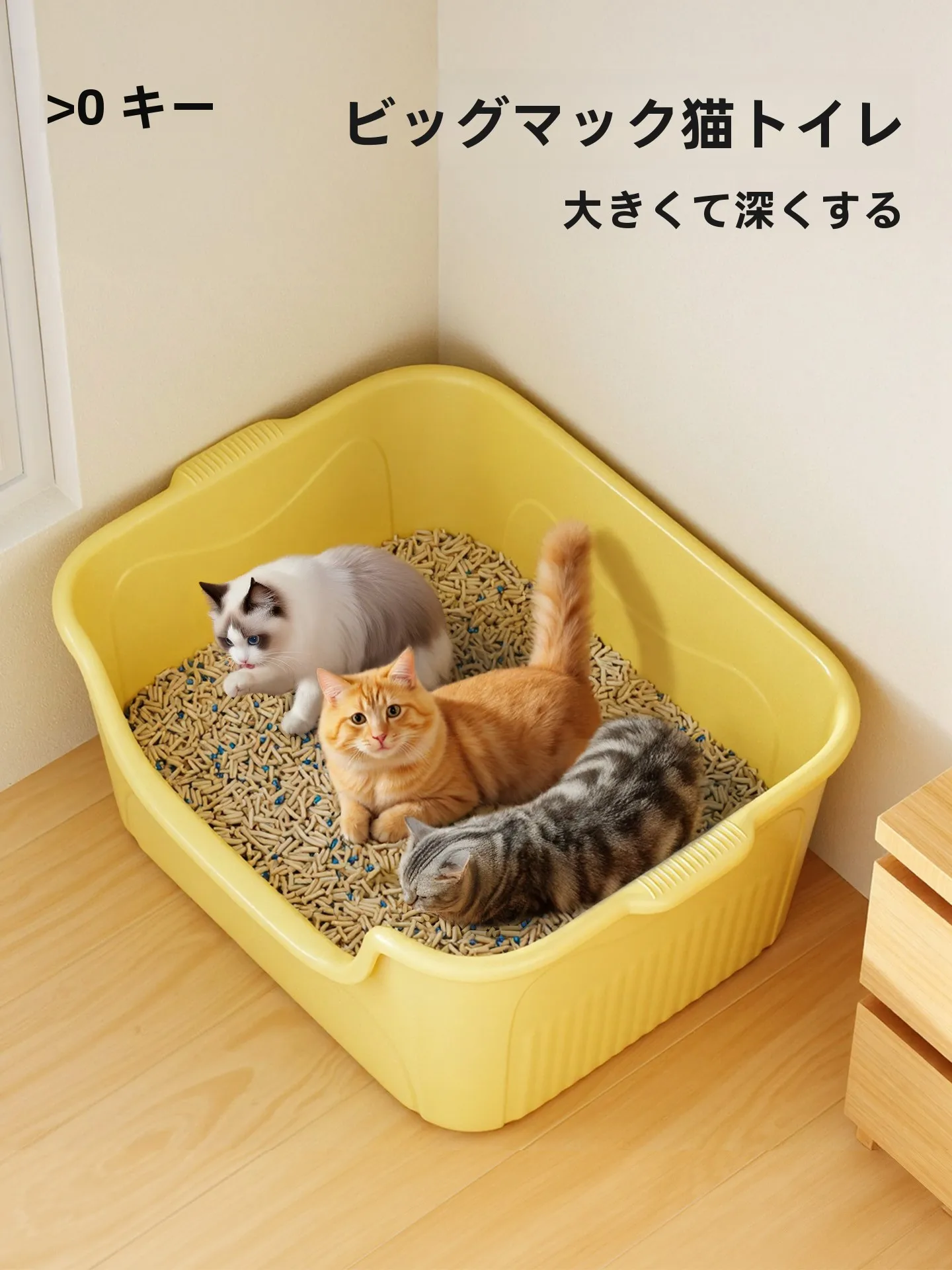 おからの猫砂は本当に環境にやさしいの？実際の使い心地と選び方を徹底解説