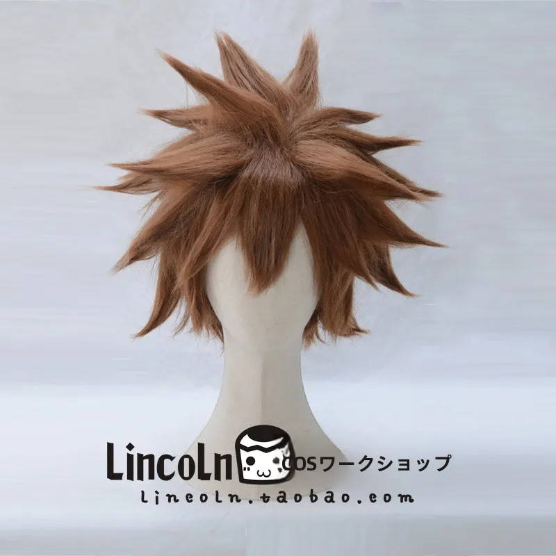 あつ森髪型に合うかっこいいコスプレ男キャラは？王国の心ソラのロングウィッグがベストな理由