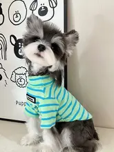 小型犬用 秋冬用タートルネックストライプ服【シュナウザー・テディ・ビション・ポメラニアン向け】
