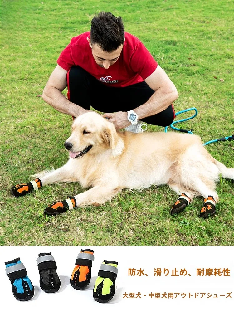 犬のお散歩グッズをコスパ良く揃える方法　徹底解説・選び方のポイント