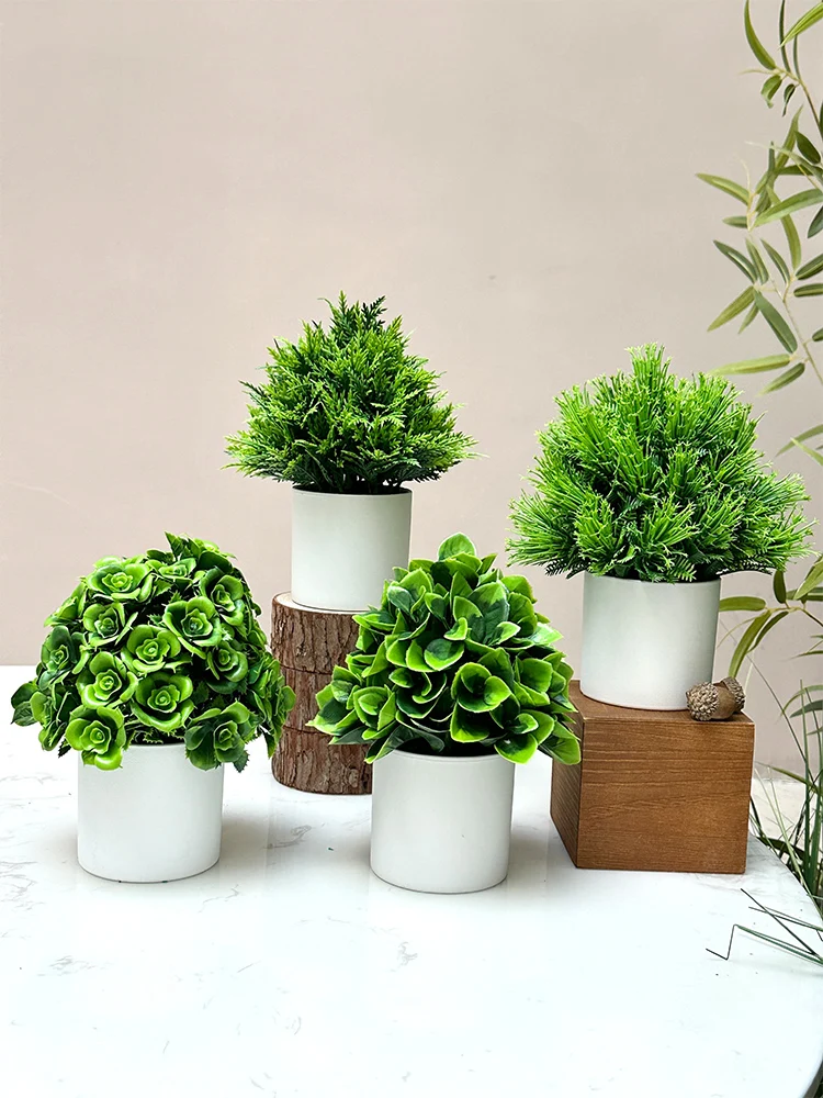 韓国インテリアを再現｜カフェ風部屋の作り方　模擬緑の植物選びの完全ガイド