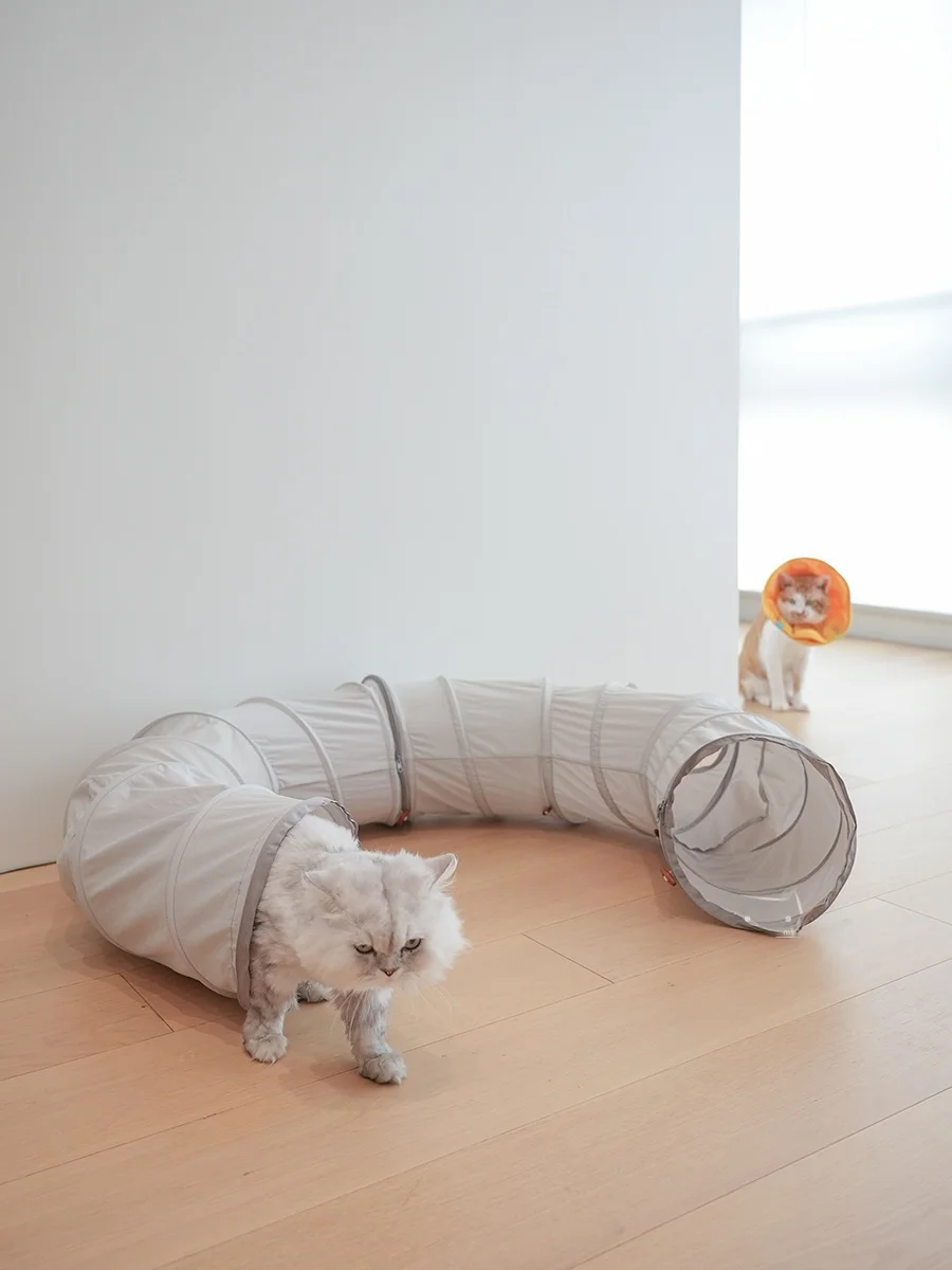 猫トンネル 手作りで失敗しない方法は？実際の使い心地とおすすめの選び方を徹底解説
