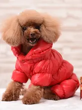 ペット用 秋冬 四足犬服【テディベアデザイン・防水・暖かい素材・小型犬用】