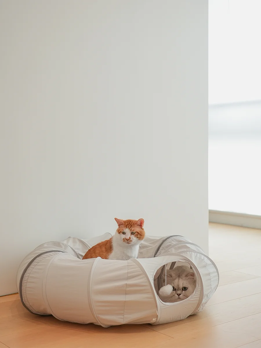 猫トンネル 手作りで失敗しない方法は？実際の使い心地とおすすめの選び方を徹底解説
