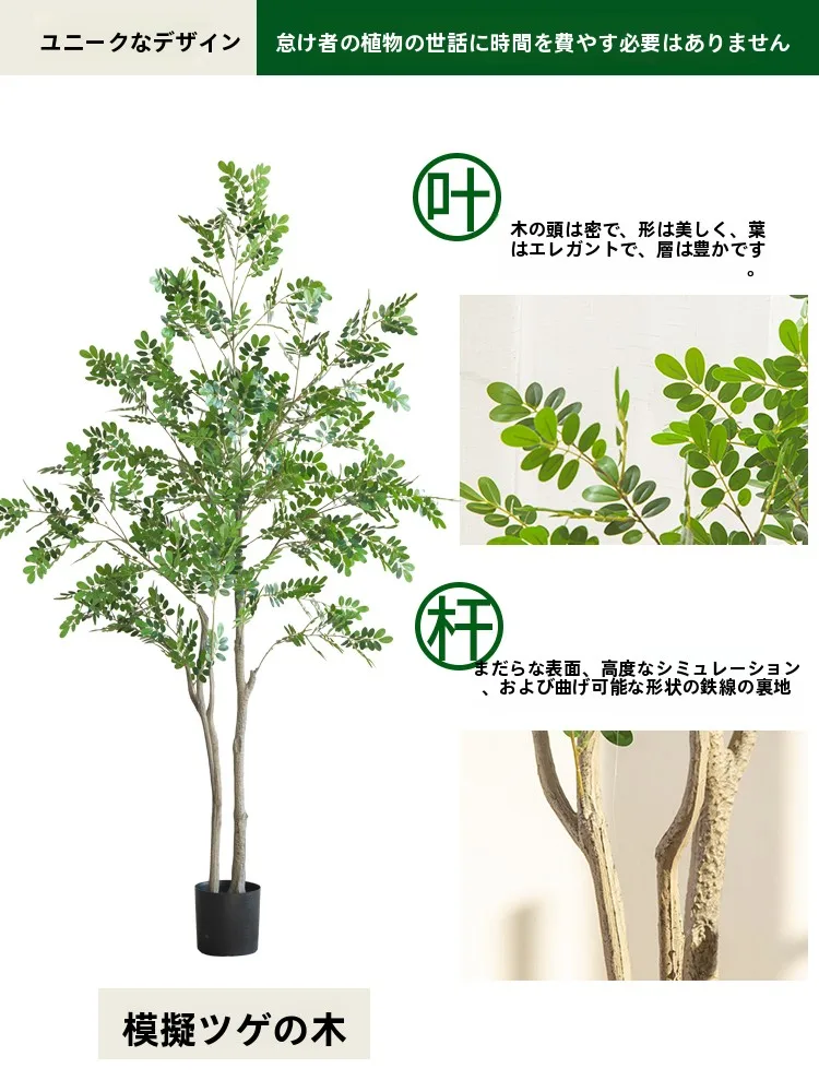 観葉植物のプレゼントで失敗しない「おしゃれ」な選び方は？