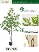 ホンカイツリ 植物 装飾 景観 屋内用