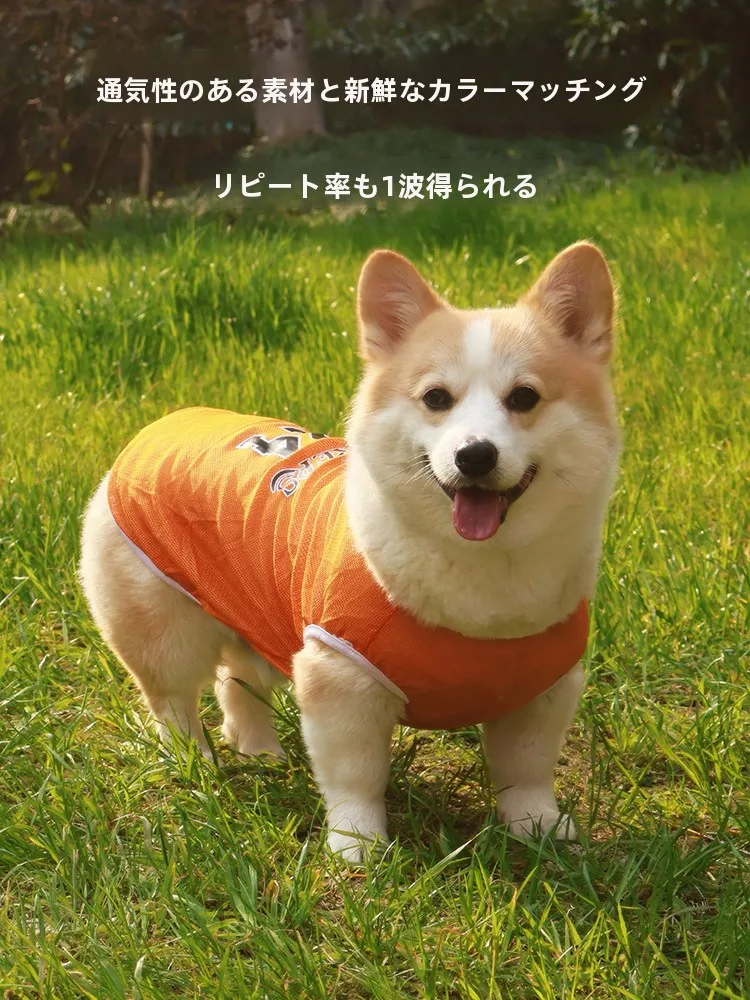 夏用コーギー犬用衣服：薄手・虫除け・UVカットで快適な outdoors ライフを実現