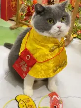 猫服 ペットウェア ケープ マント チャイナテイスト 黄色 お正月 迎春 冬