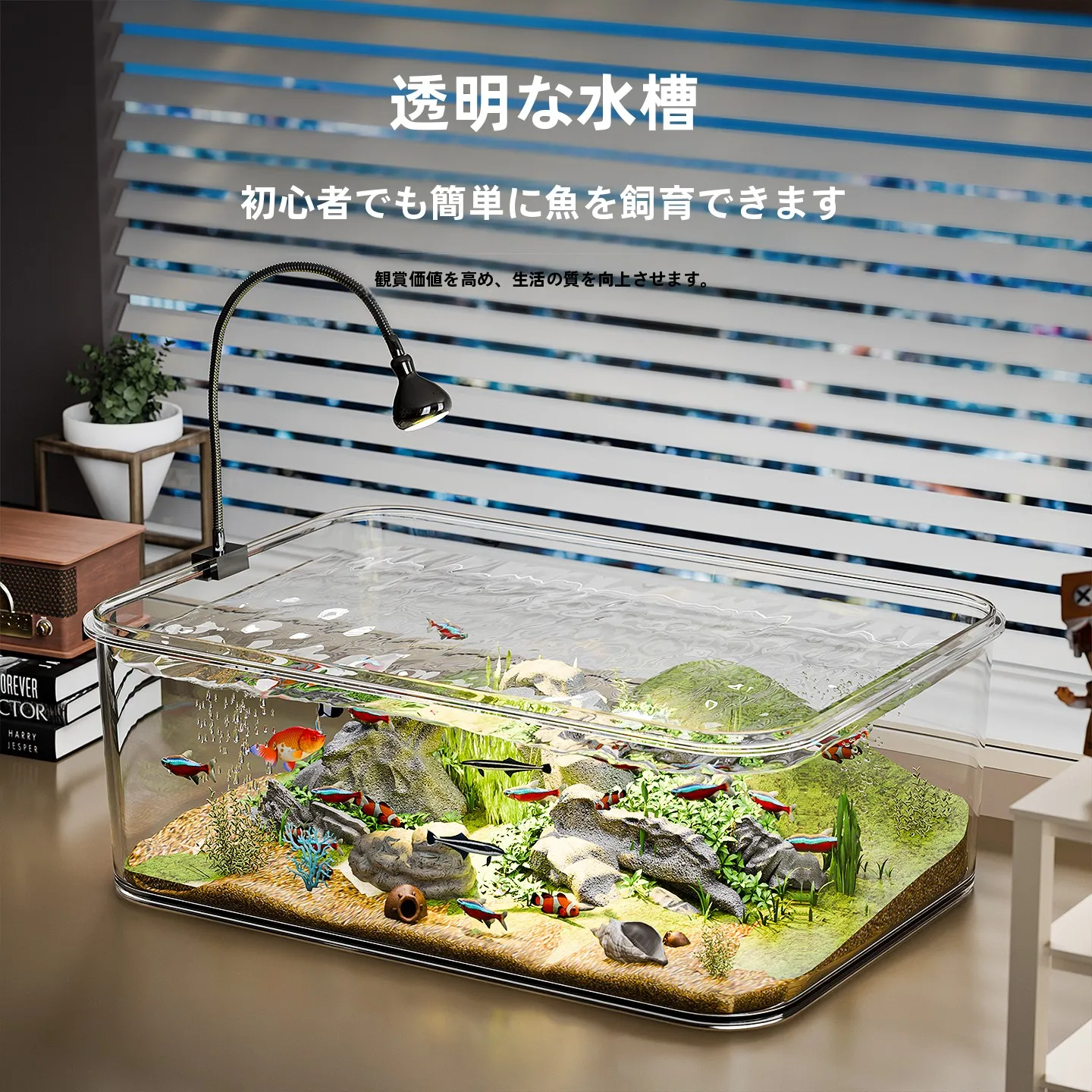 ベタ用水槽を選ぶときに迷うのは、本当に「水質」なのか？