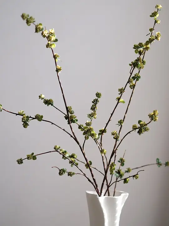 高級感あるグリーンの花芽アートフラワー【リビング装飾・和のテイスト】