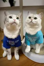 犬猫用春秋ファッションペットウェア【防毛・軽やかデザイン】