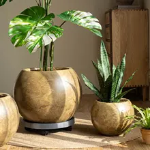 インテリアに最適！亀背竹の花鉢【大・高級感あるマグネシウム粘土製・北欧風デザイン】